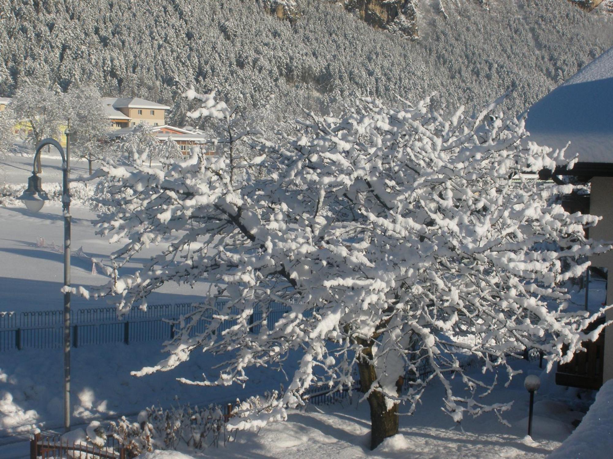Casa Pallanch Fai della Paganella Eksteriør billede