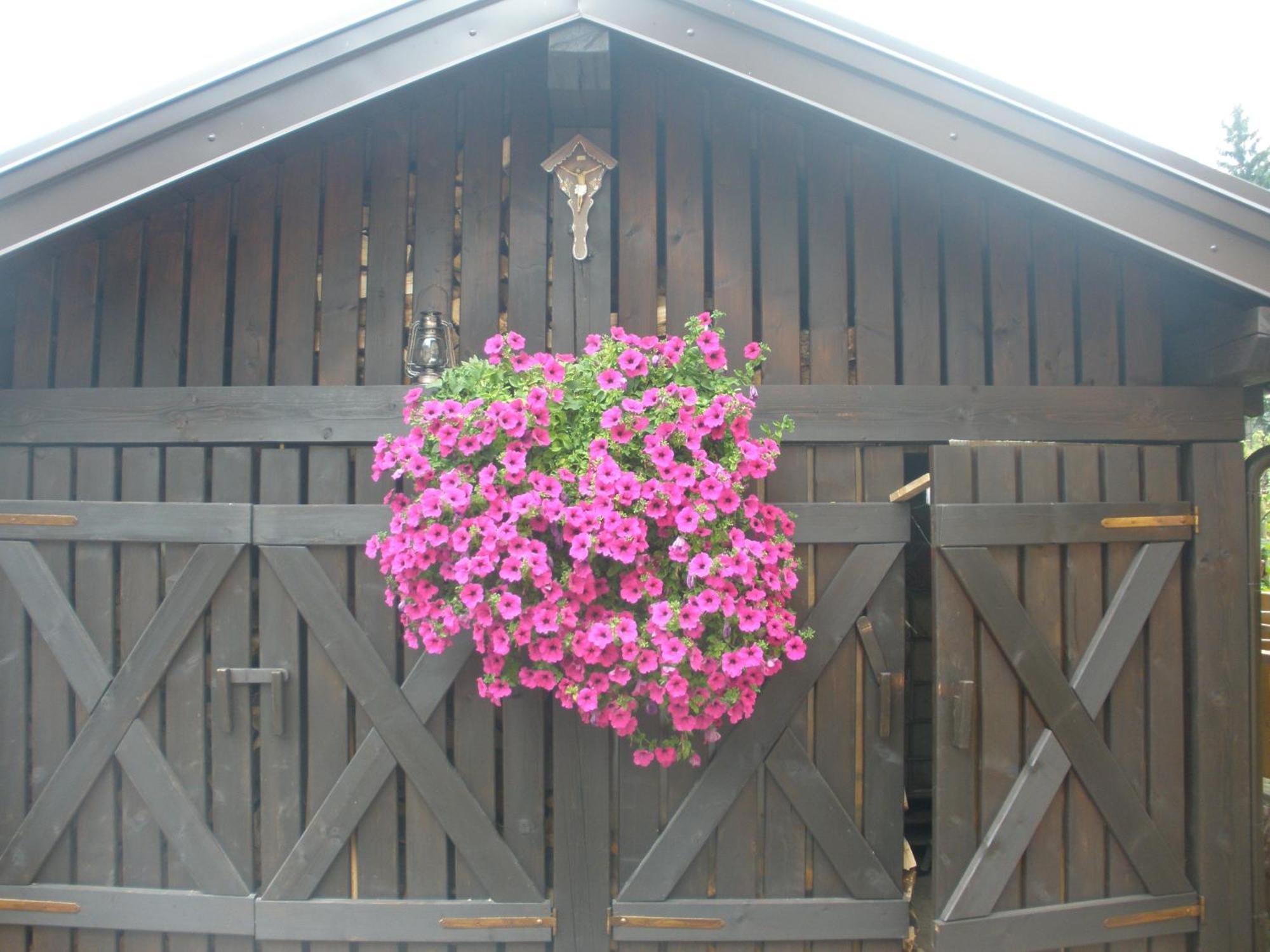 Casa Pallanch Fai della Paganella Eksteriør billede